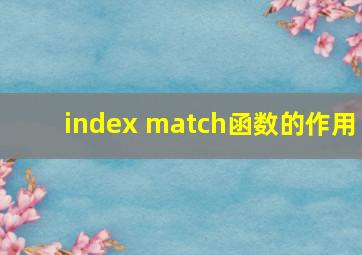 index match函数的作用